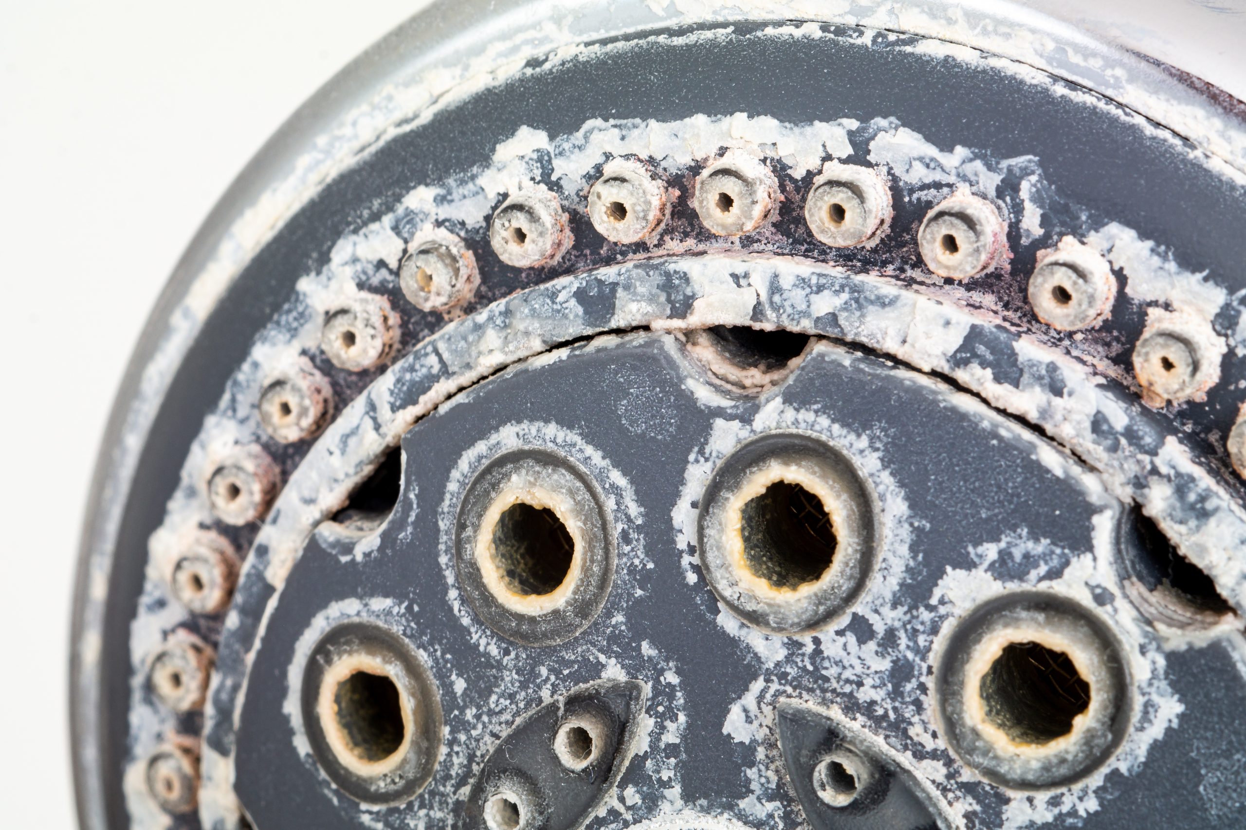 A showerhead shows scale buildup as a sign of hard water.